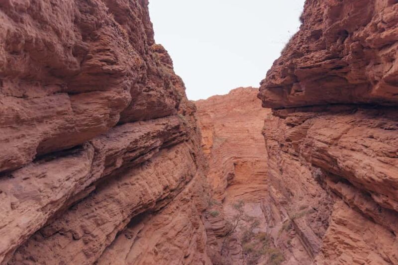 From Salta: Full-Day Wine and Valley Tour to Cafayate - The Sum Up