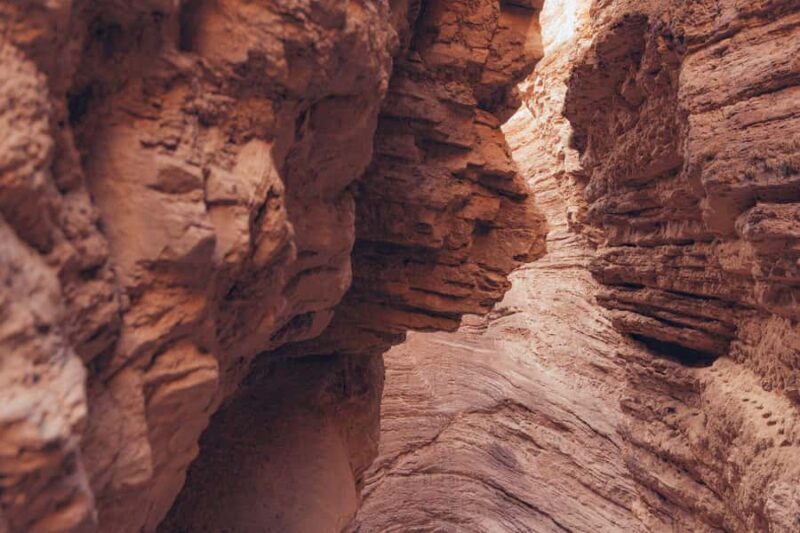 From Salta: Full-Day Wine and Valley Tour to Cafayate - FAQ