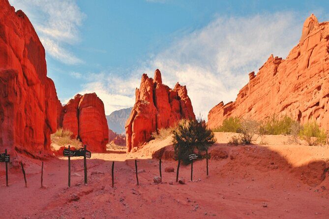 From Salta: Pack of 4 Excursions in Salta and Jujuy - What the Reviews Reveal About This Experience