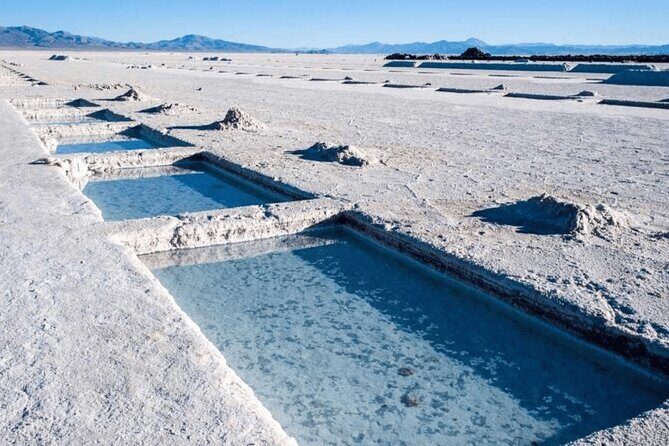 From Salta: Two full-day tours of Cafayate and Salinas Grandes - Key Points