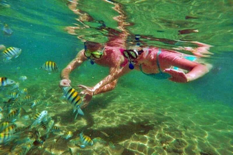 From Salvador: Praia do Forte & Guarajuba Beach Daytrip - Transportation & Group Size: Comfort & Intimacy