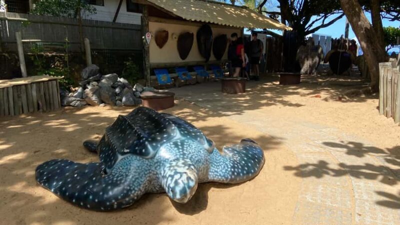 From Salvador: Praia do Forte & Guarajuba Beach Daytrip - Final Thoughts