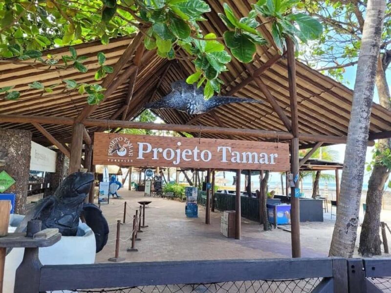 From Salvador: Tour to Praia do Forte and Guarajuba - An Honest Look at the Tour Experience