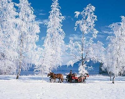 From Salzburg: 8 hour Horse-Drawn incl. 2-hour Carriage Ride - From Salzburg: 8-hour Horse-Drawn Incl. 2-hour Carriage Ride