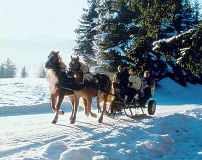 From Salzburg: 8 hour Horse-Drawn incl. 2-hour Carriage Ride - Key Points