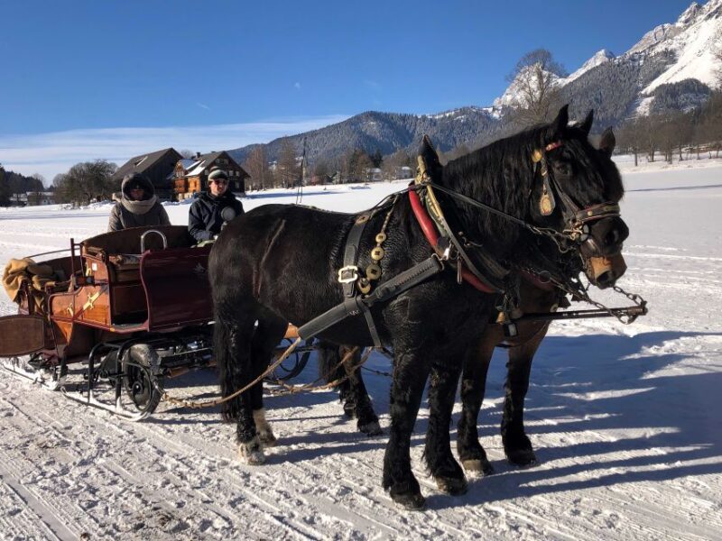 From Salzburg: 8 hour Horse-Drawn incl. 2-hour Carriage Ride - The Sum Up