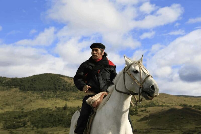 From Samaná: El Limón Waterfall Horseback Ride with Lunch - FAQ