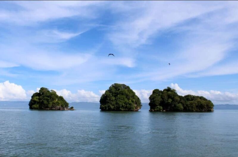 From Samana: Los Haitises Boat and Walking Tour with Lunch - Who Would Enjoy This Tour?