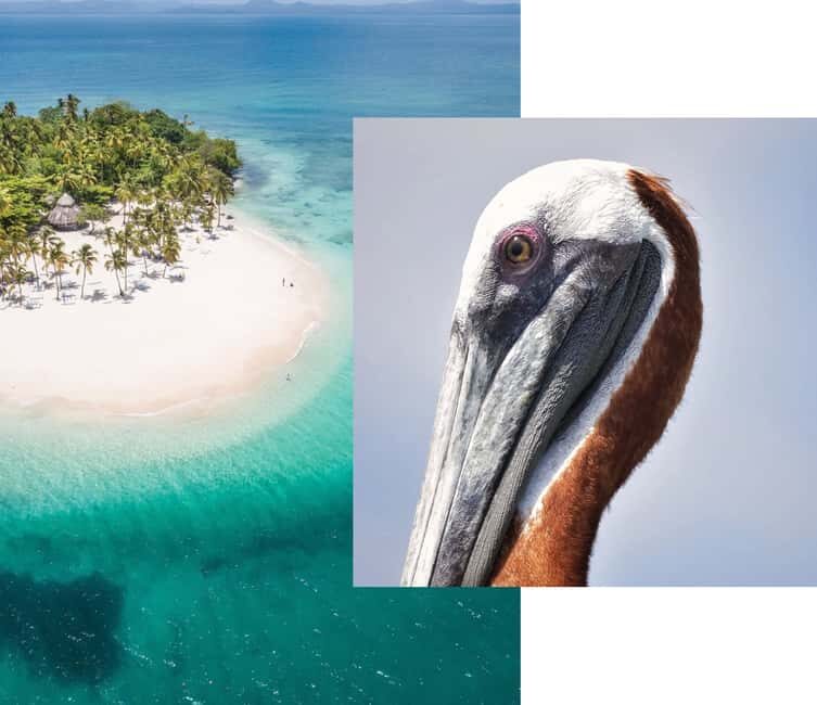 From Samana: Los Haitises Boat and Walking Tour with Lunch - FAQ