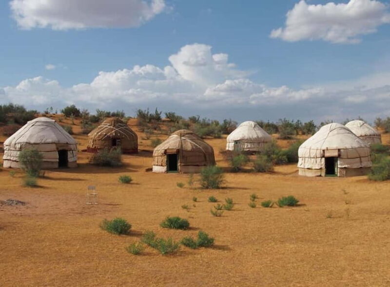 From Samarkand: 2-Day Yurt Camp Adventure with Camel Ride - An In-Depth Look at the 2-Day Samarkand Yurt Camp Adventure