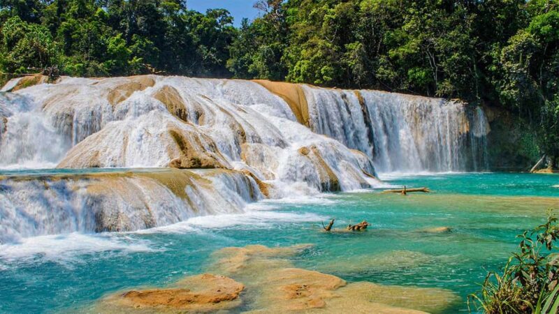 From San Cristóbal: Agua Azul and Palenque Day Trip - Final Thoughts