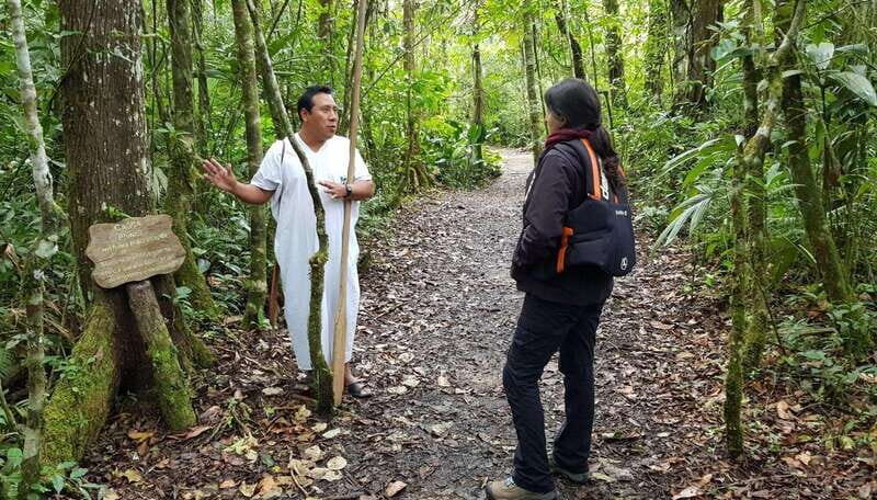 From San Cristóbal: Lacandona Jungle 3 Days Tour - A Closer Look at the Itinerary