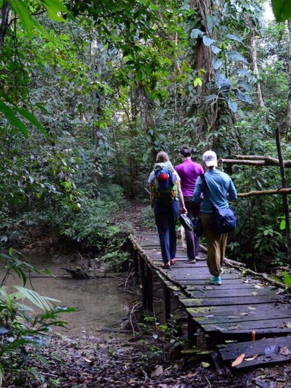 From San Cristóbal: Lacandona Jungle 3 Days Tour - Day Three: Hikes and Waterfalls