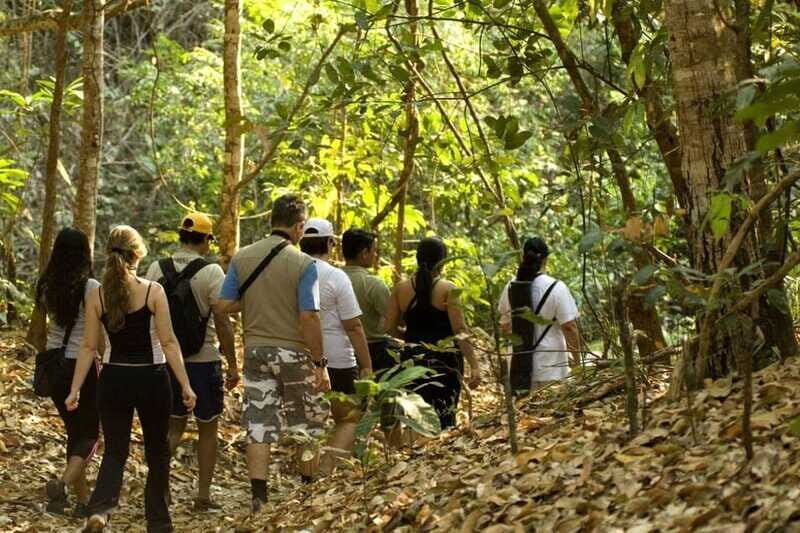 From San Cristóbal: Lacandona Jungle 3 Days Tour - Practical Details and Tips
