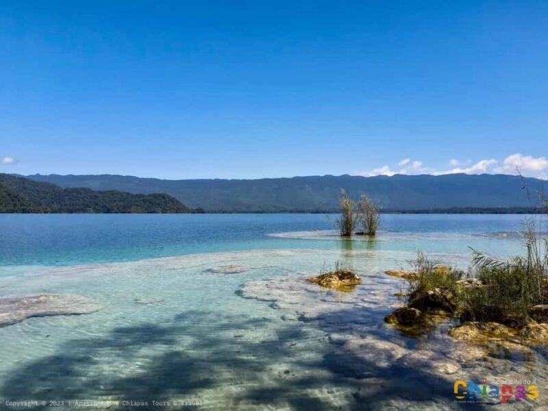 From San Cristóbal: Miramar Lagoon Hidden Paradise - What to Expect During the Tour