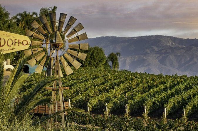 From San Diego Temecula Wine Country Tour - Practical Tips for Booking and Enjoying