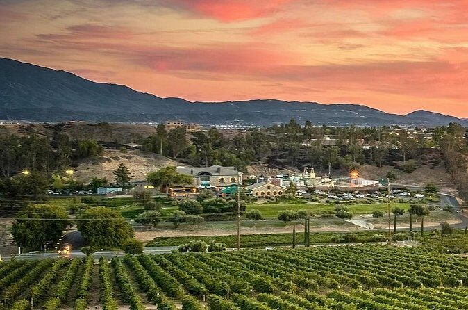 From San Diego Temecula Wine Country Tour - Who Should Consider This Tour?