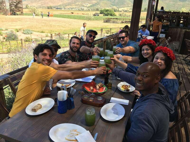 From San Diego: Valle de Guadalupe Private Wine Tasting Tour - Final Thoughts