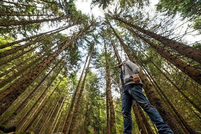From San Francisco: Alcatraz Island & Guided Muir Woods Tour - The Sum Up: Who Will Love This Tour?