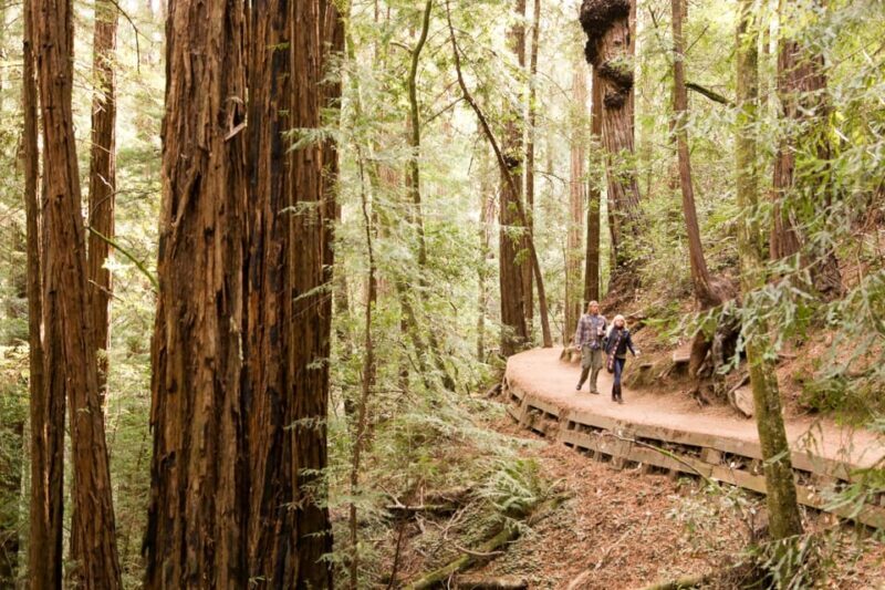 From San Francisco: Alcatraz Night & Muir Woods & Sausalito - FAQ