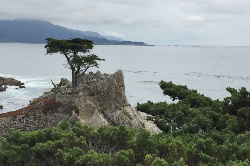 From San Francisco: Carmel, Monterey & Big Sur Private Tour - Discover California’s Coastal Wonders on a Private Tour from San Francisco