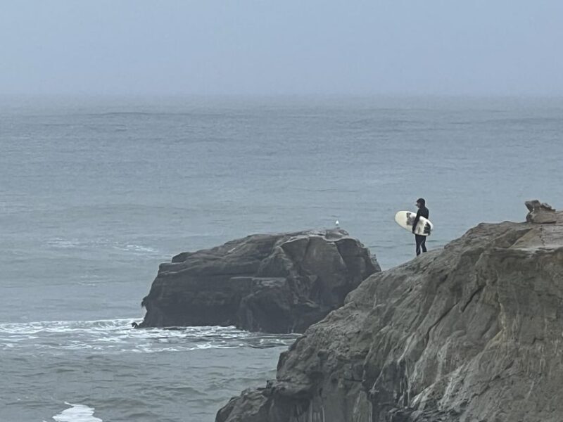 From San Francisco: Carmel, Monterey & Big Sur Private Tour - Exploring the Itinerary: What to Expect