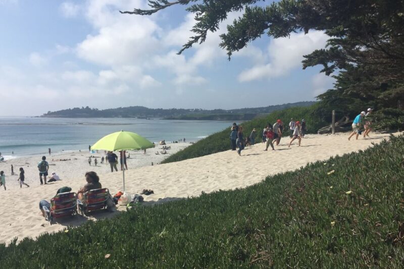 From San Francisco: Carmel, Monterey & Big Sur Private Tour - Comfort, Logistics & Value