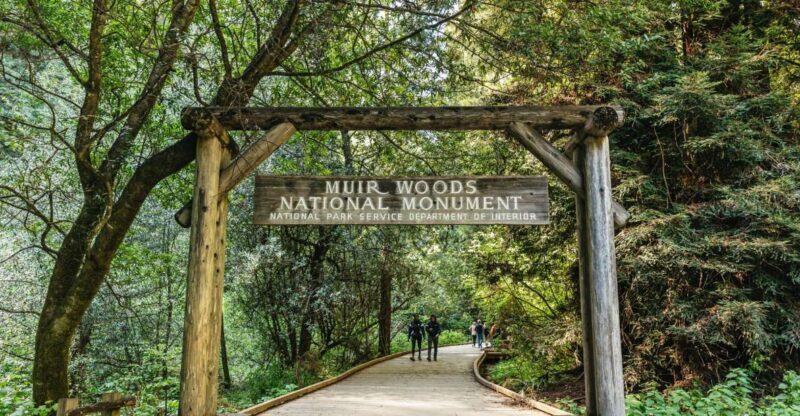 From San Francisco: Guided Muir Woods Tour - A Deep Dive into the Muir Woods Guided Tour