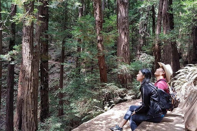 From San Francisco: Guided Tour to Muir Woods Coastal Redwoods - Frequently Asked Questions