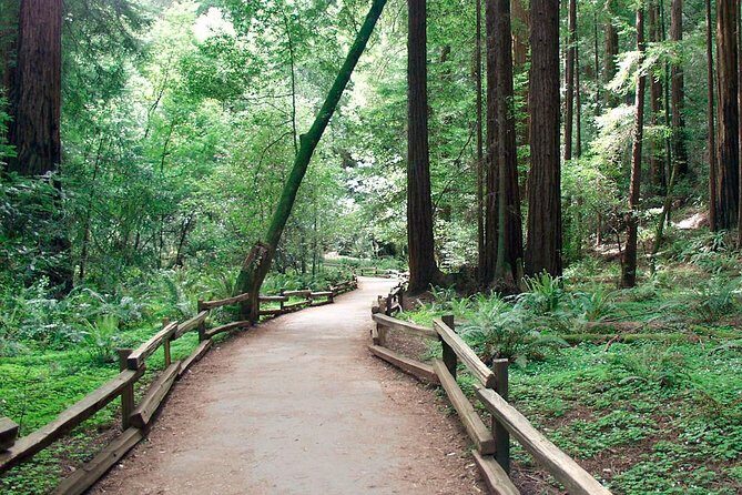 From San Francisco: Guided Tour to Muir Woods Coastal Redwoods - Final Thoughts