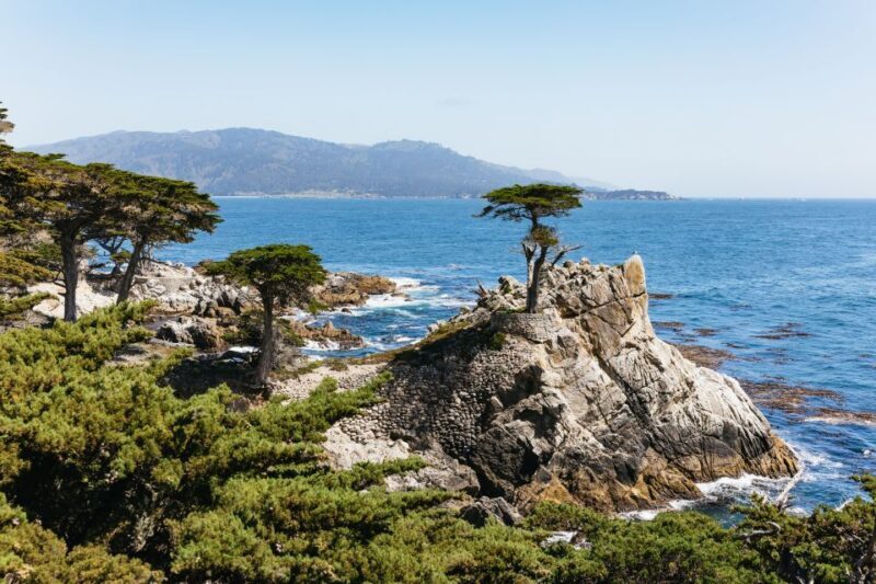 From San Francisco: Monterey and Carmel Day Tour - The Sum Up: Who Will Love This Tour?