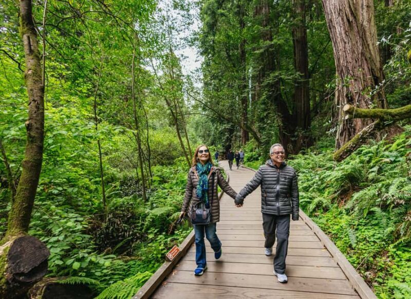 From San Francisco: Muir Woods, Sausalito and Alcatraz Tour - Final Thoughts
