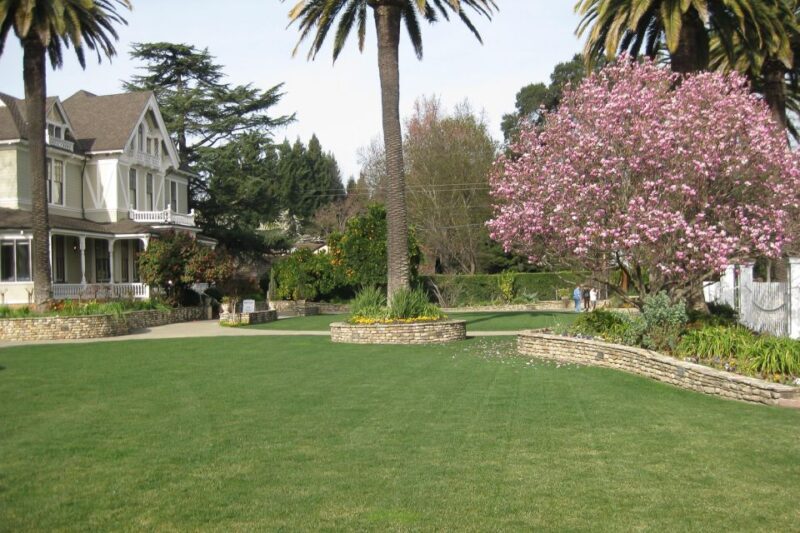 From San Francisco: Napa & Sonoma Valley Full-Day Wine Tour - Transportation, Group Size, and Timing