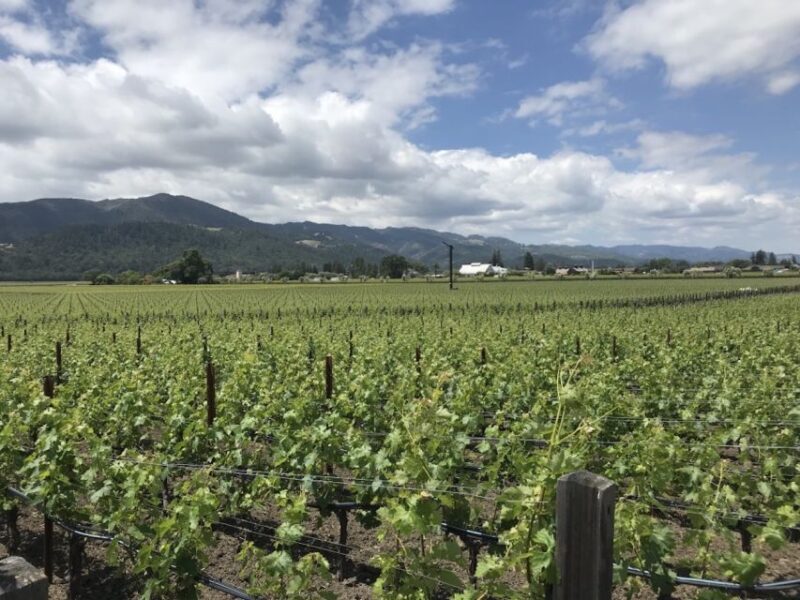 From San Francisco: Private Muir Woods and Napa Wine Tour - Practical Details and Considerations
