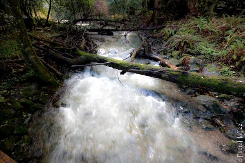 From San Francisco: Private Muir Woods and Napa Wine Tour - FAQs