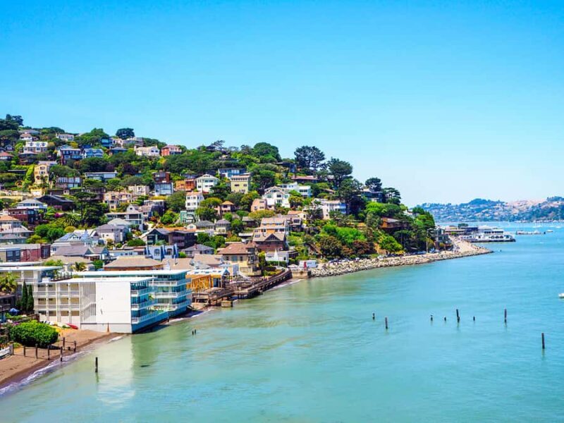 From San Francisco: Redwoods, Coast, and Sausalito Tour - From San Francisco: Redwoods, Coast, and Sausalito Tour — A Deep Dive into Northern California’s Charm