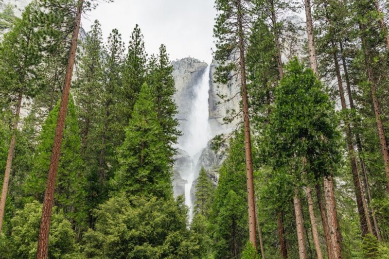 From San Francisco: Yosemite National Park Guided Day Trip - From San Francisco: Yosemite National Park Guided Day Trip — An In-Depth Review