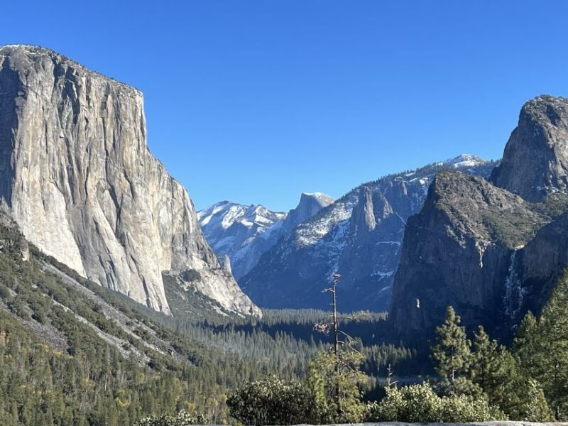 From San Francisco: Yosemite Private Full-Day Trip - Who Should Consider This Tour?