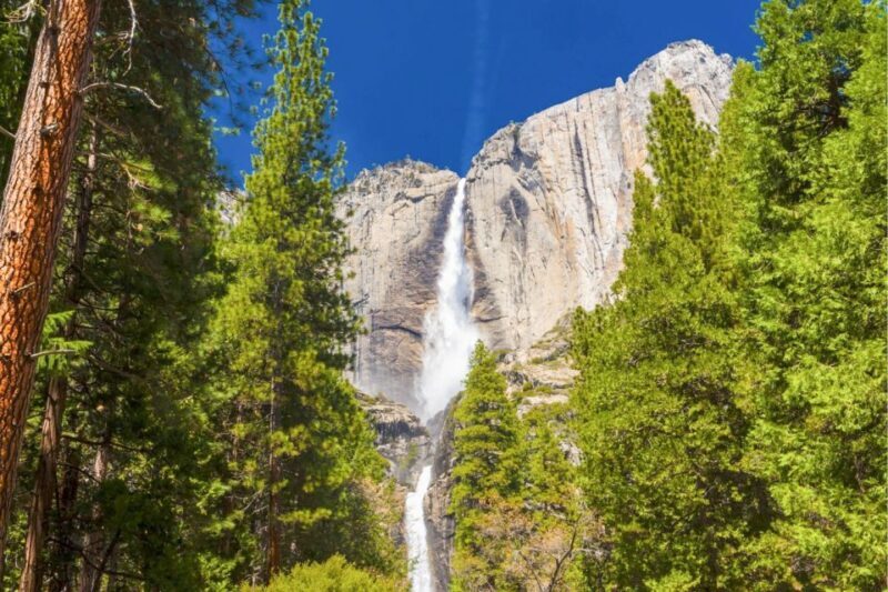 From San Francisco: Yosemite & Tahoe Sierras 4-Day Trip - FAQ