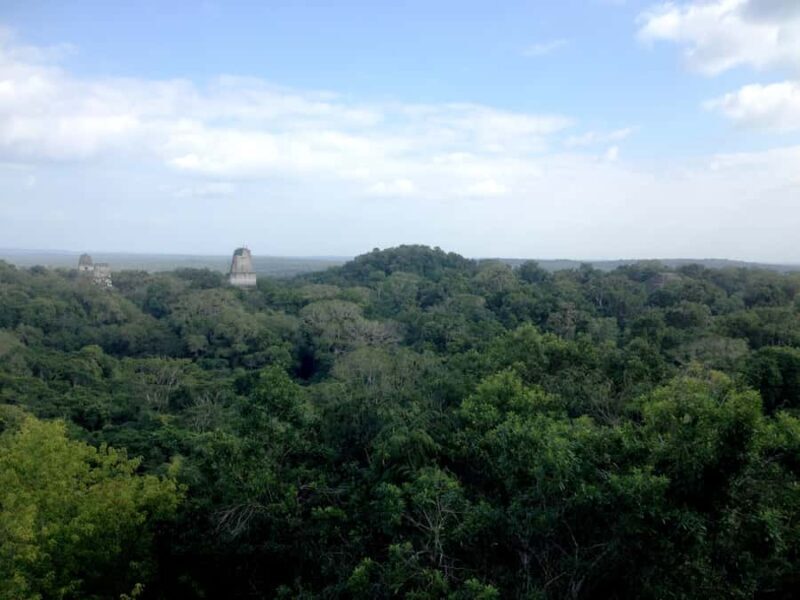 From San Ignacio: Tikal Maya Site Day-Trip with Local Lunch - Frequently Asked Questions