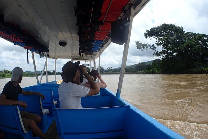 From San José: Carara National Park and Tárcoles River Tour - An In-Depth Look at the From San José: Carara National Park and Tárcoles River Tour