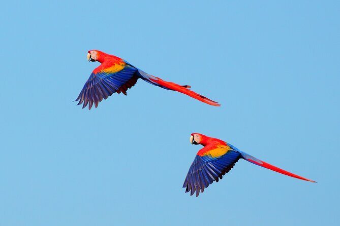 From San José: Carara National Park and Tárcoles River Tour - Final Thoughts
