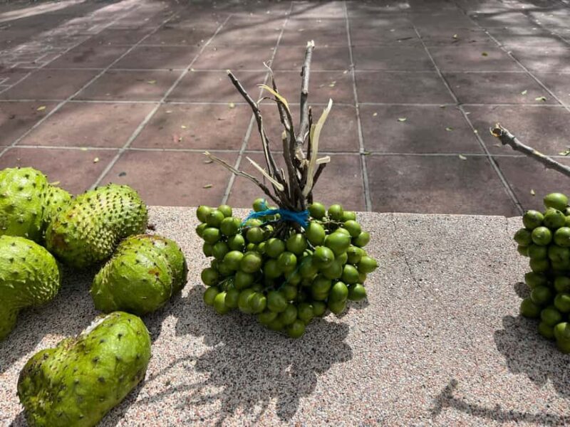 From San Juan: Full-Day Cultural Road Trip to Ponce - References