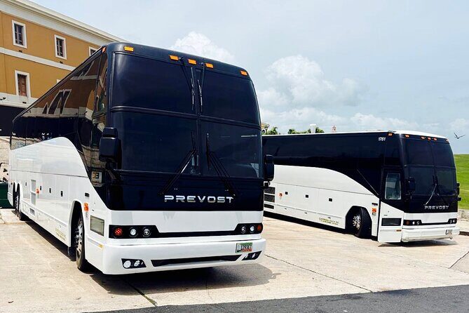 From San Juan: Roundtrip Shuttle to Bad Bunny Concert - Key Points