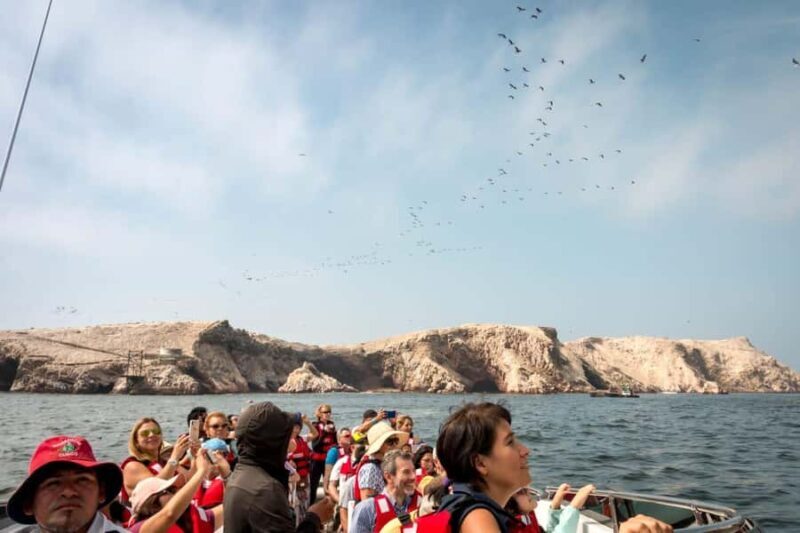 From San Martin Port: Ballestas Island & Paracas Reserve - Key Points