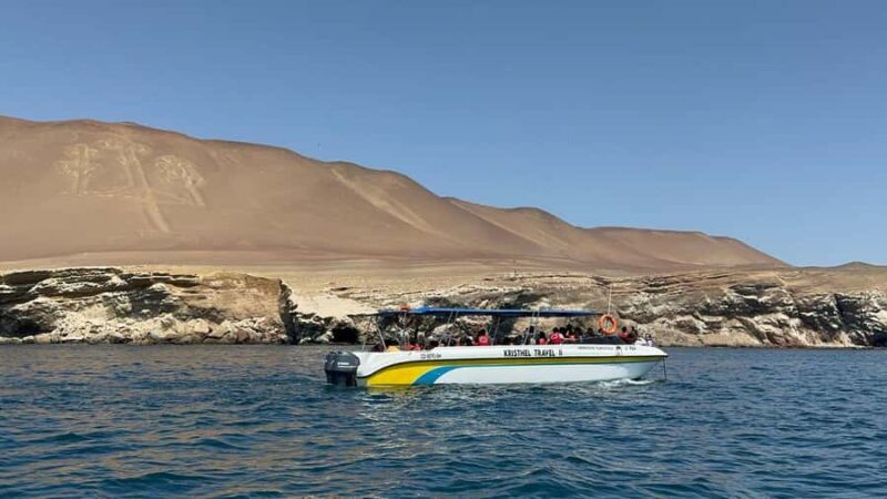 From San Martin Port: Ballestas Island & Paracas Reserve - A Closer Look at the Experience