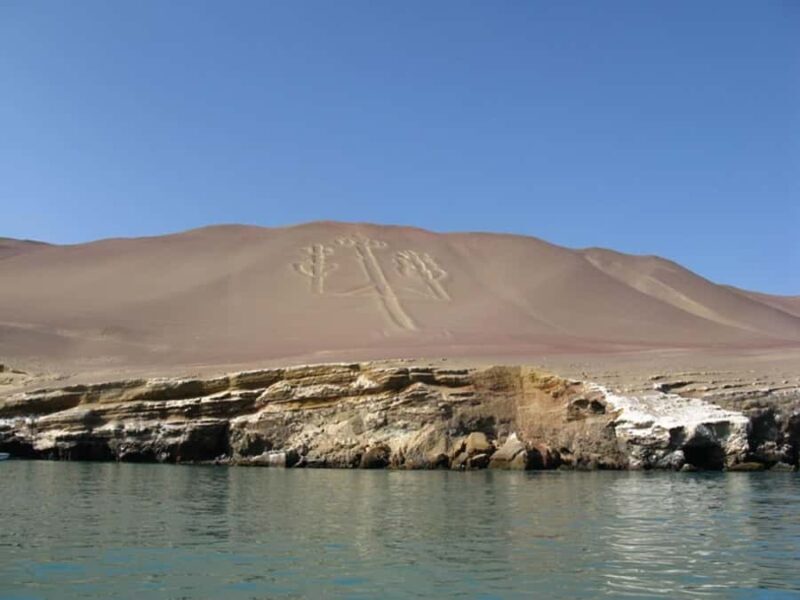 From San Martin Port: Ballestas Islands Tour in Paracas - Final Thoughts