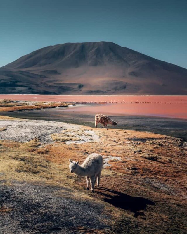 From San Pedro de Atacama: 3-Day Uyuni Salt Flats Tour - FAQ