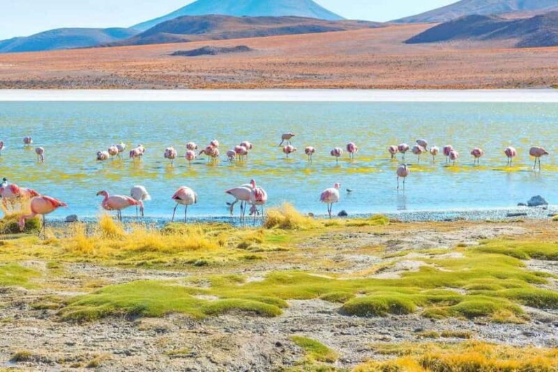From San Pedro de Atacama: 3-Day Uyuni Salt Flats Tour - Exploring the Uyuni Salt Flats: A Detailed Journey
