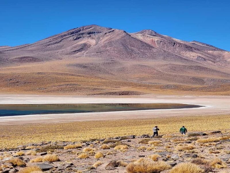 From San Pedro de Atacama: Lagoons and Piedras Reds - Visiting Toconao: A Quiet Charm